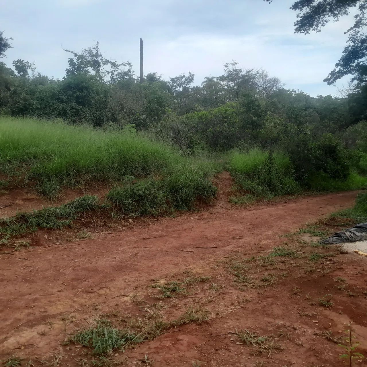 Lotes de 300 mts - Foto 4