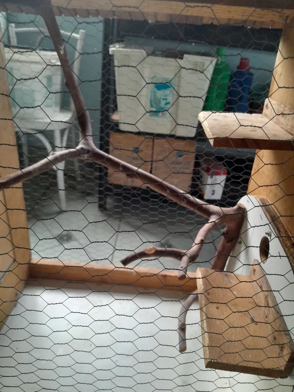 Viveiro rústico  - Foto 2