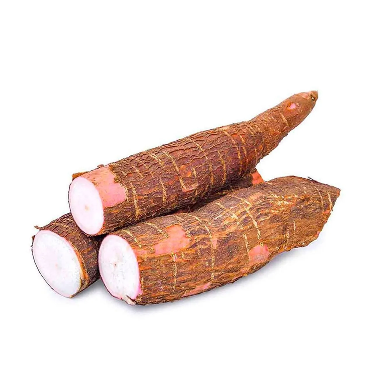 Mandioca Fresca. Casca de macaxeira. Ração barata