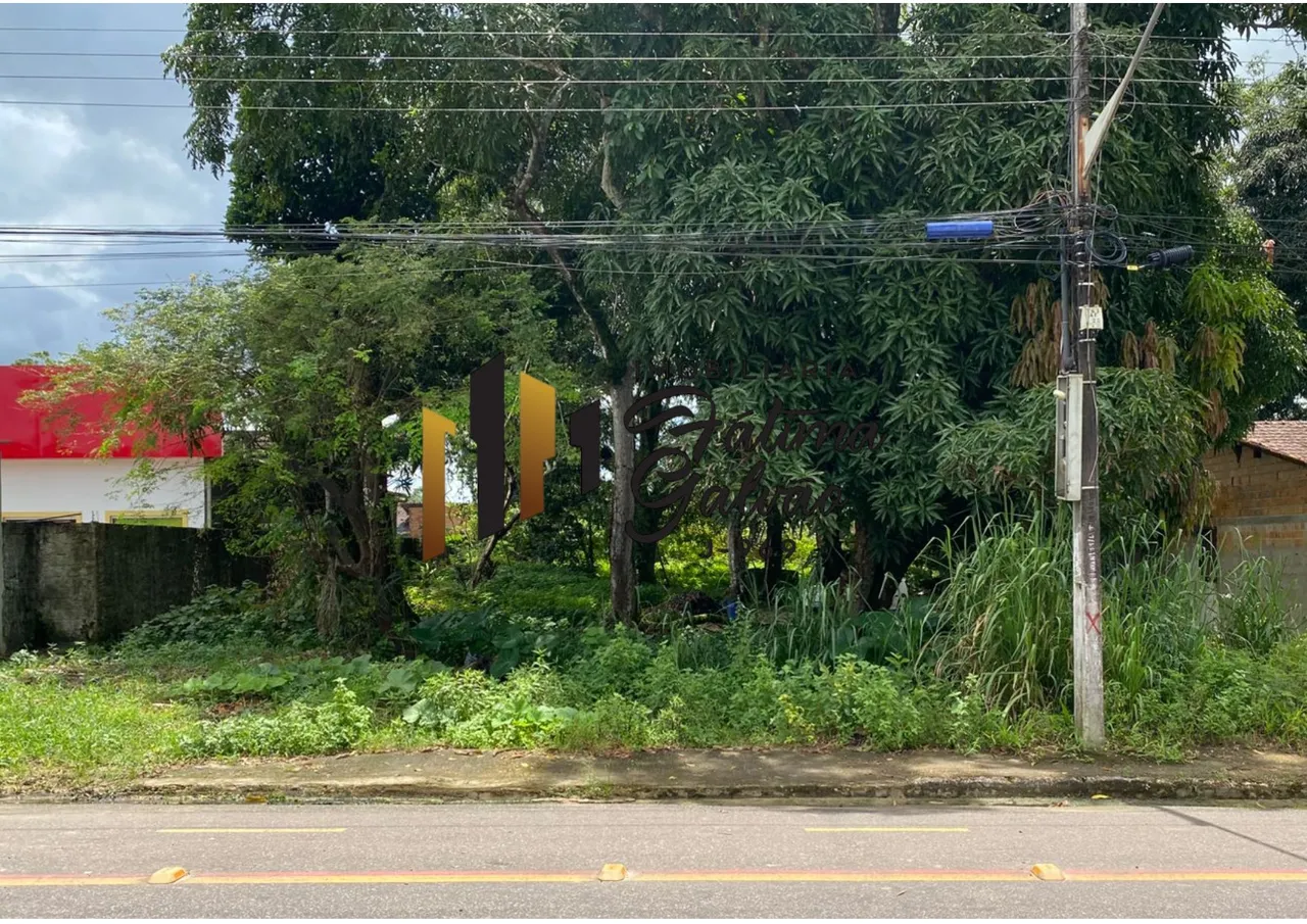 Vendo Terreno em Vigia