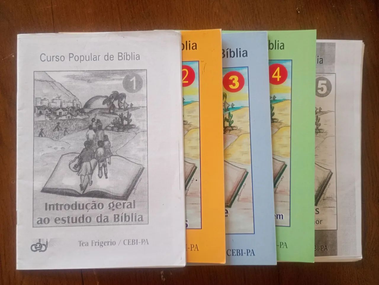 Curso popular de Bíblia 