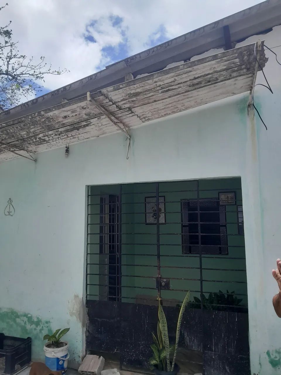 Foto - Recife - Dois Unidos