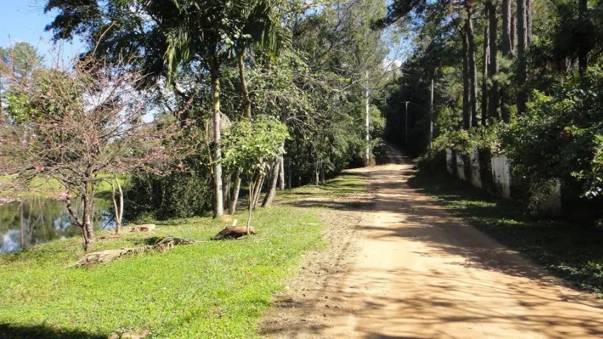 https://imoveisgirassol.com.br/produto/chacara-sem-benfeitorias-campo-limpo-paulista-sp-co - Foto 4