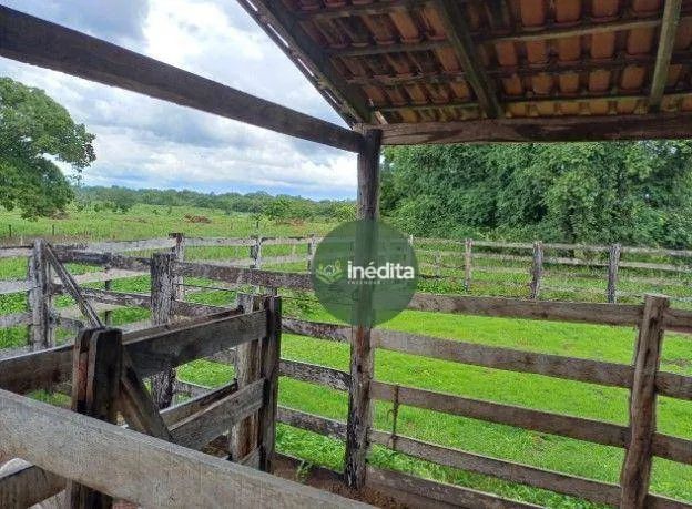 Fazenda à venda, 11625075 m² por R$ 21.350.000,00 - Zona Rural - Paranã/TO - Foto 3