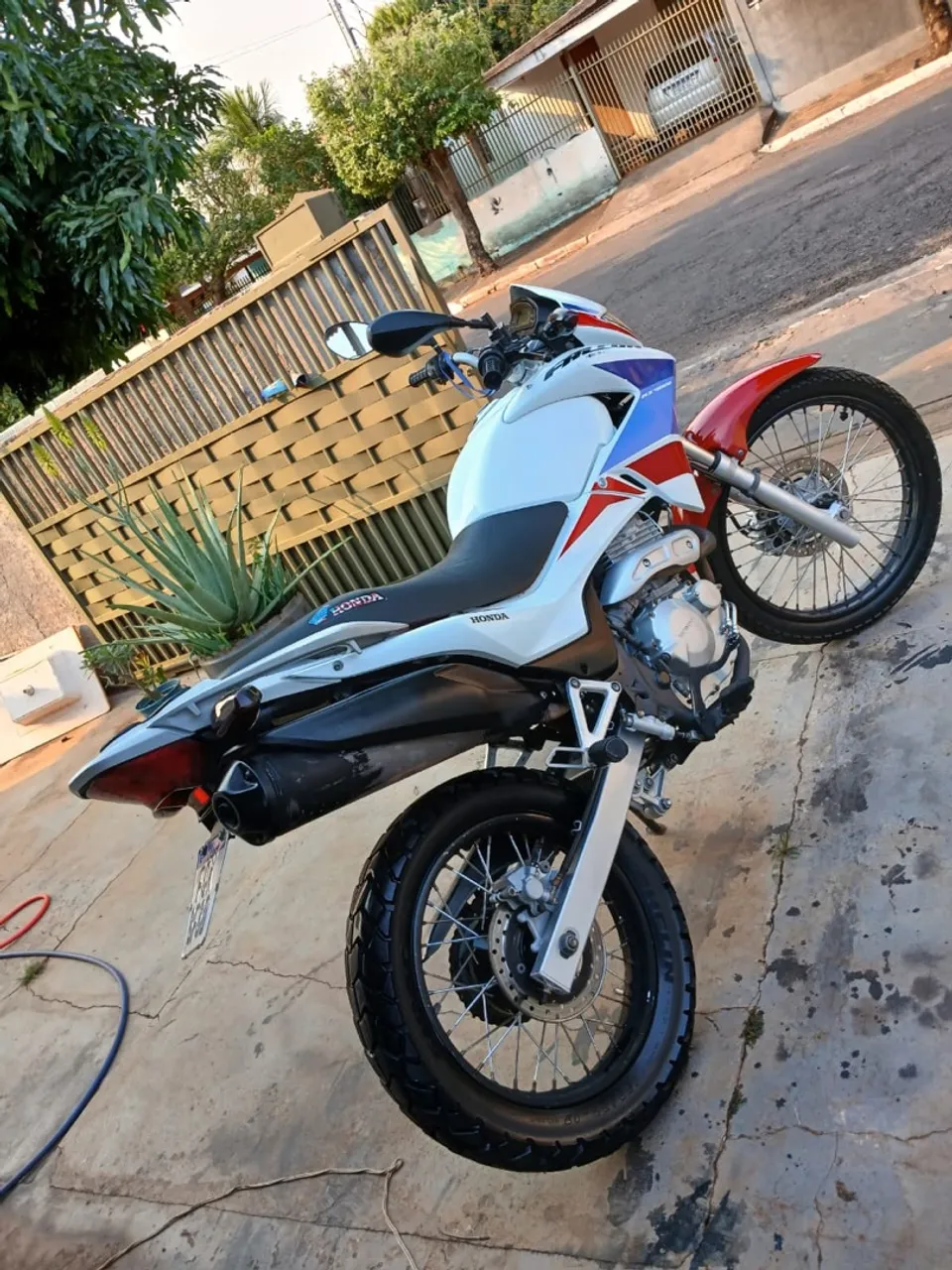 Vendo Falcon