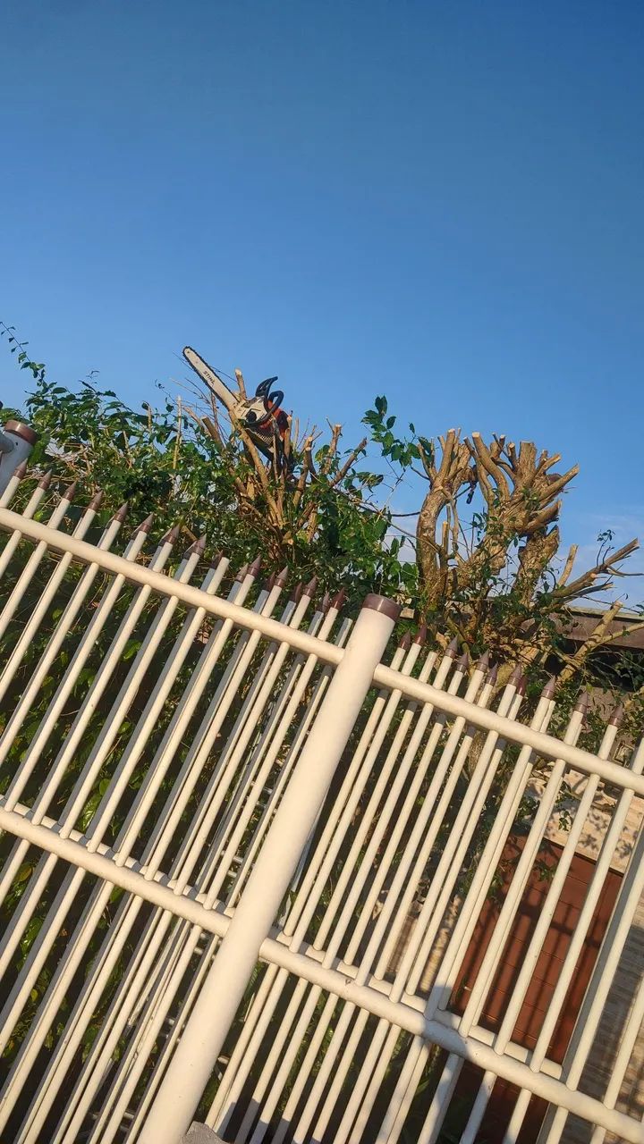 Jardineiro  - Foto 4