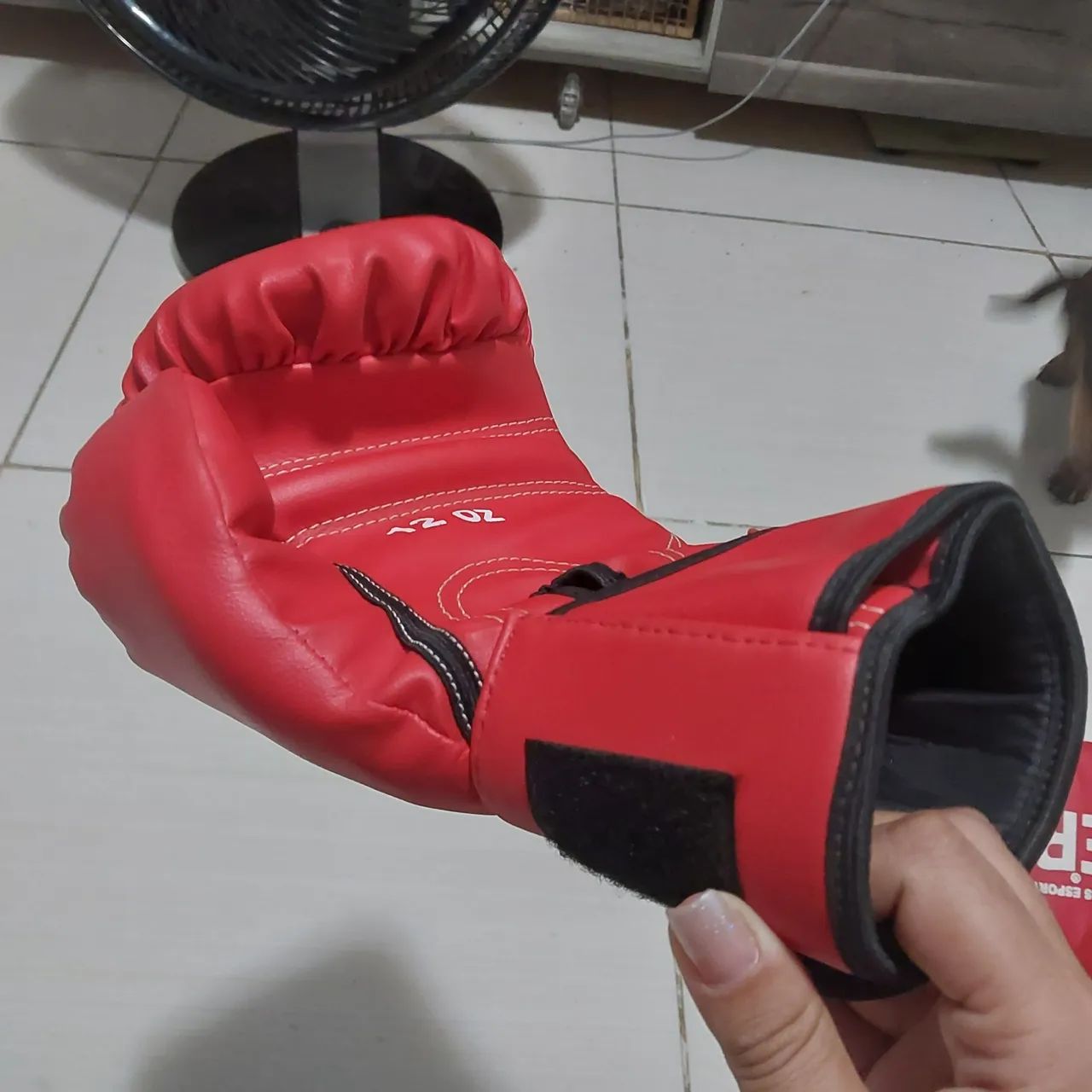 Luvas de Treino - Everlast  - Foto 2