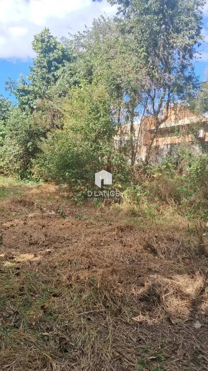 Terreno à venda no bairro Chácara Santa Margarida em Campinas
