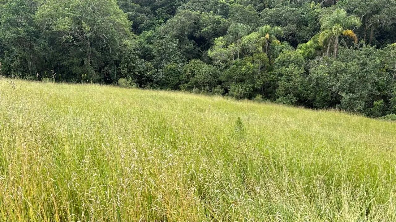 SUA CASA DOS SONHOS EM UM LOCAL TRANQUILO! - Foto 3