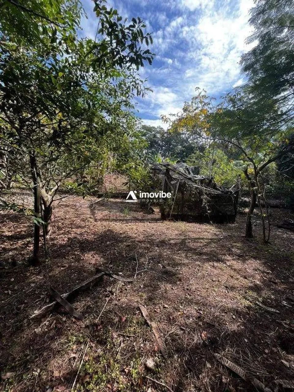 Chácara com 7.000m² com mata natural, casa 3 quartos avarandada, nascente natural - Limeir - Foto 8