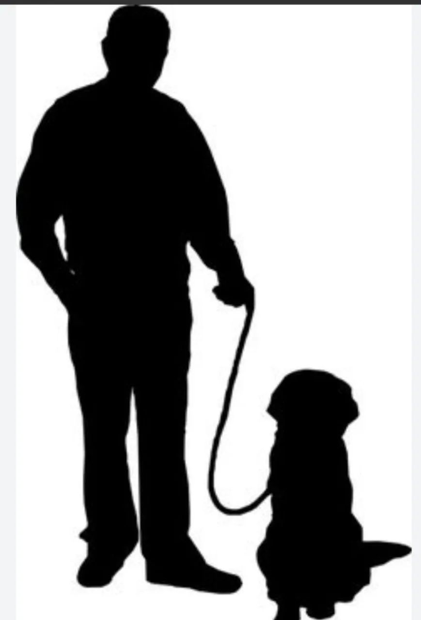 Passeador de Cães em Santarém-Pa - Foto 2