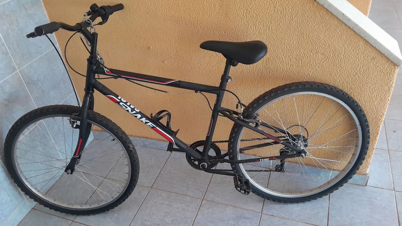 Bicicleta Snake - Foto 2