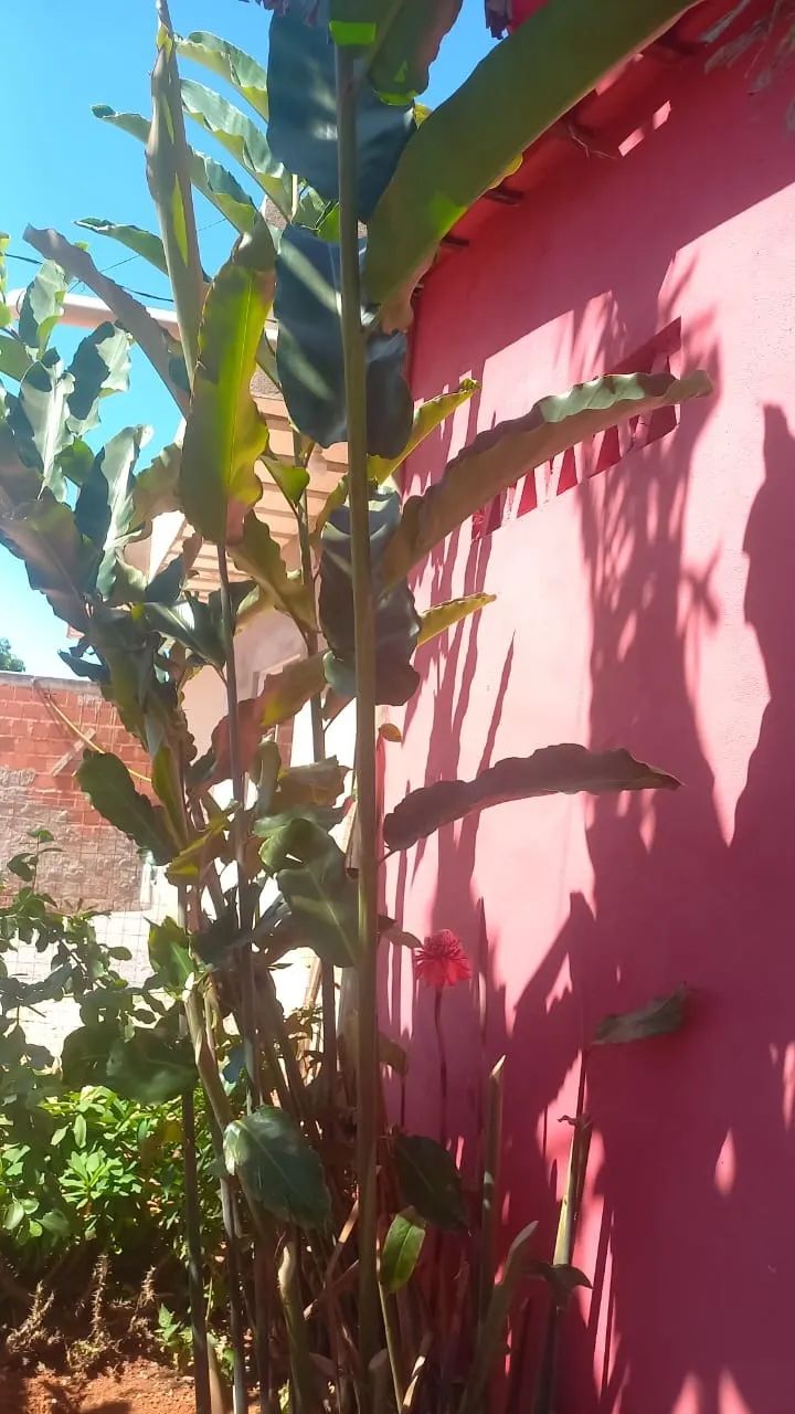 oportunidade chalé no sobradinho dos Melos - Foto 5