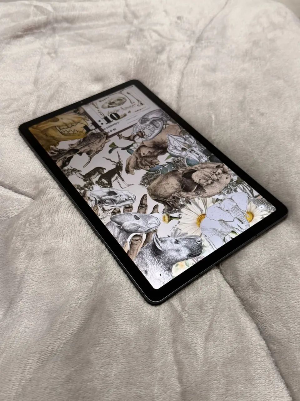 S6 LITE 2024