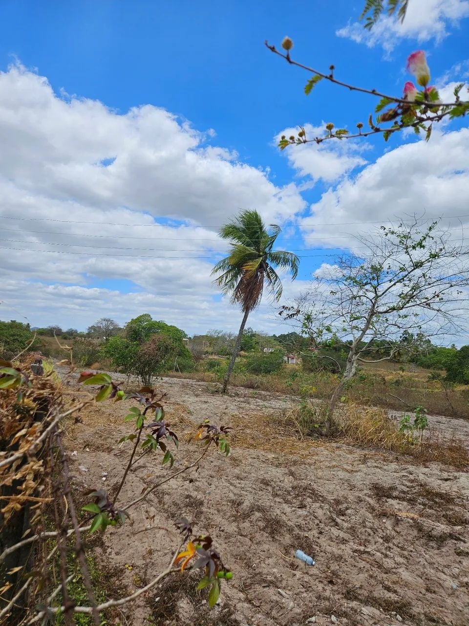 Vendo terreno próximo a Itabaiana e Mogeiro - Foto 4