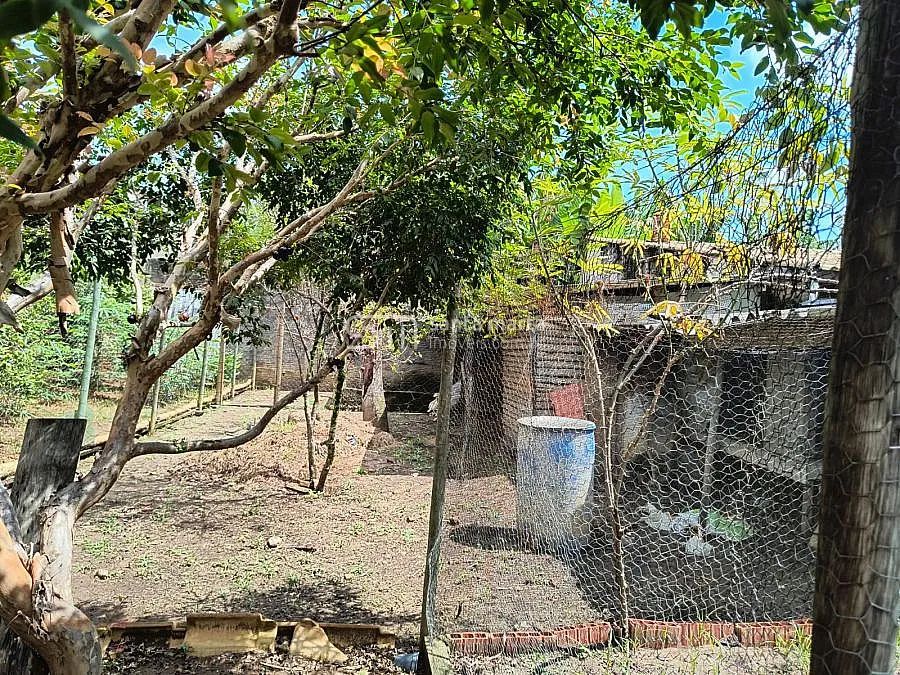 TERRENO PLANO, VILA ZÉLIA, LORENA, SP - Foto 4