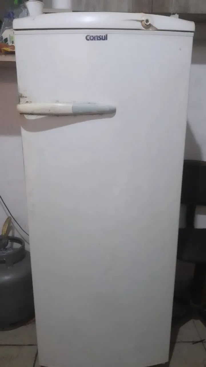 GELADEIRA 300,00