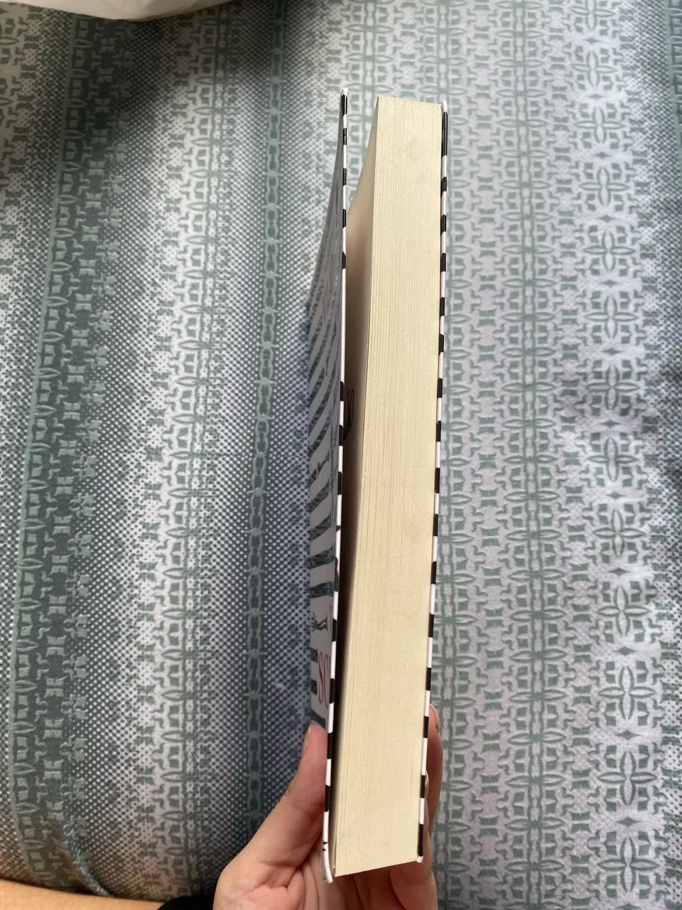 Livro - Vilão  - Foto 2