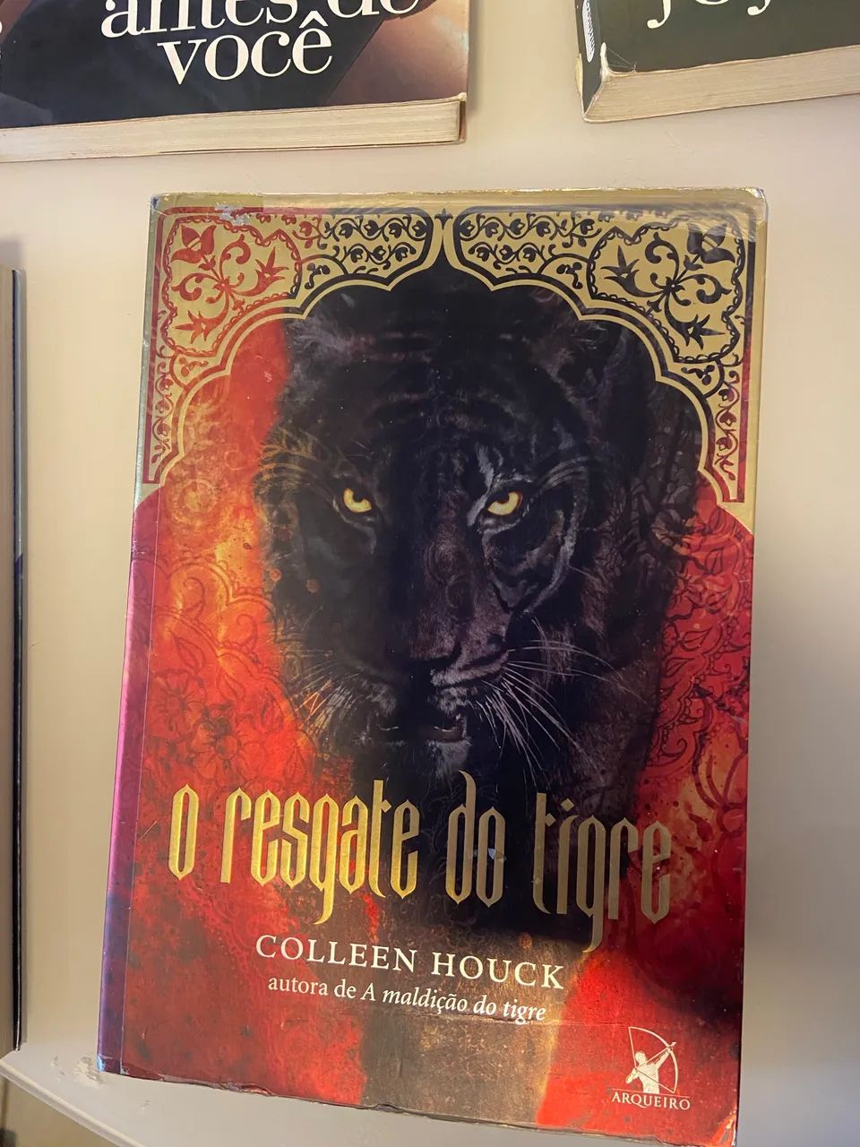 Livros em ótimo estado - Livros e revistas - Ceilândia Sul