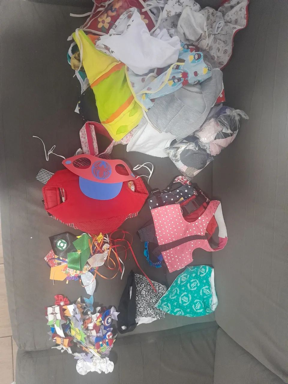 Vários acessórios pet