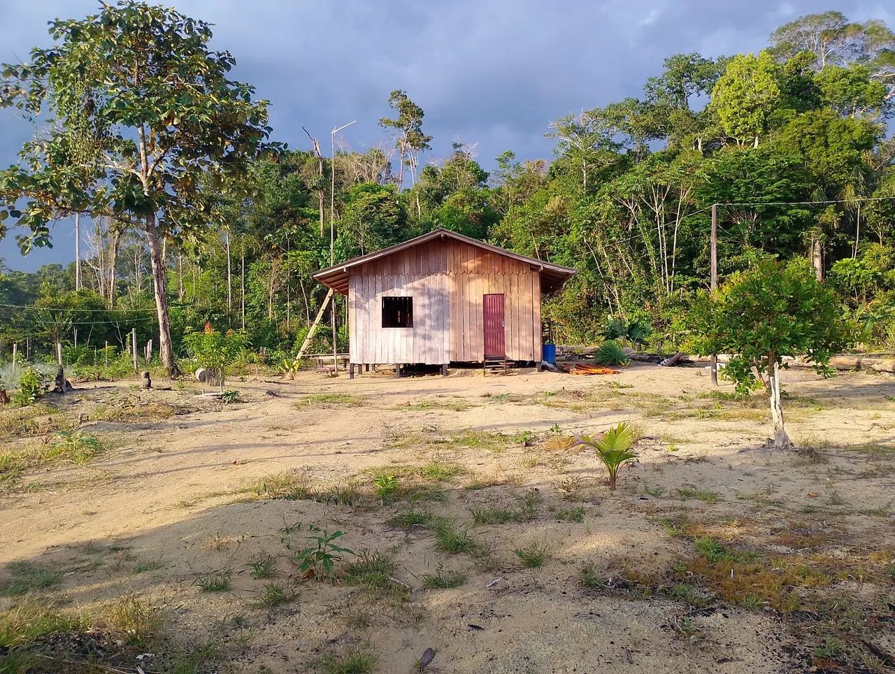 Vendo sítio no ramal do Dantas. - Foto 4