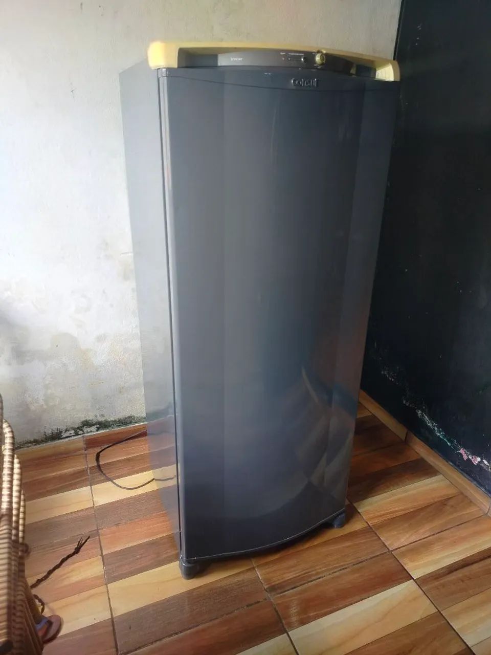 Freezer vetical