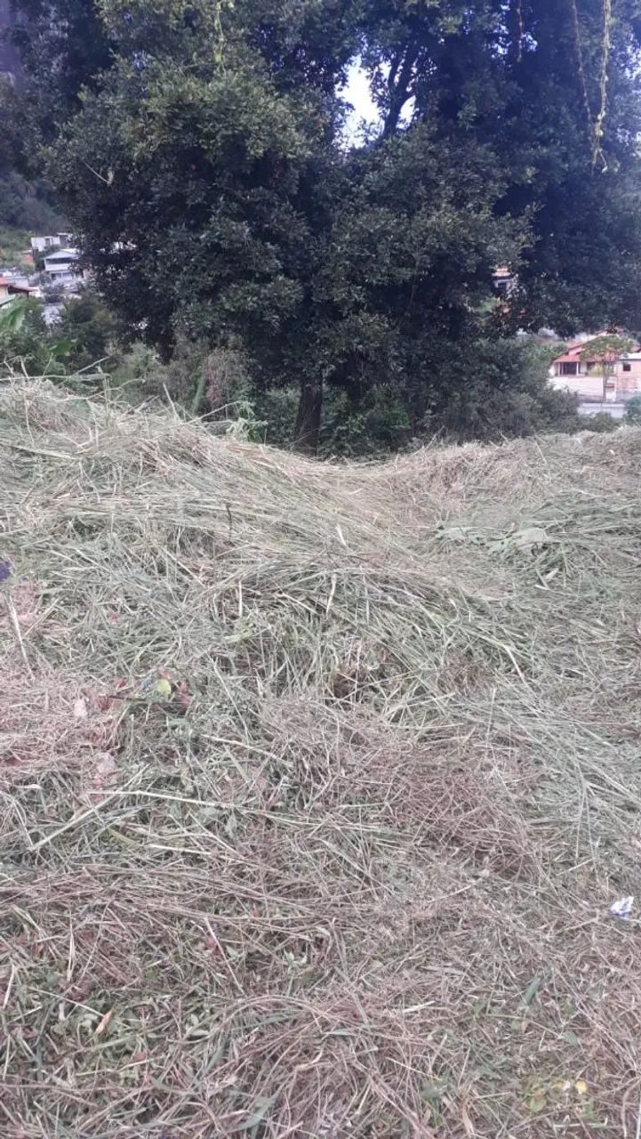 Lote do Dom Carmelo - Foto 5