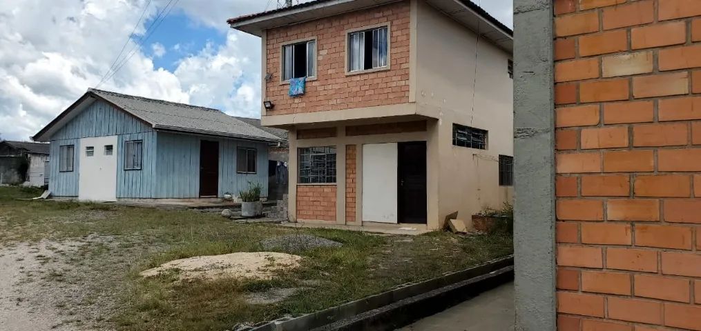 Foto - Araucária - Thomaz Coelho