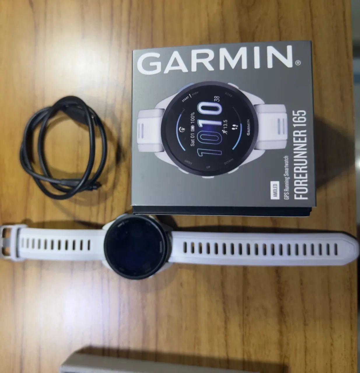 Garmin 165