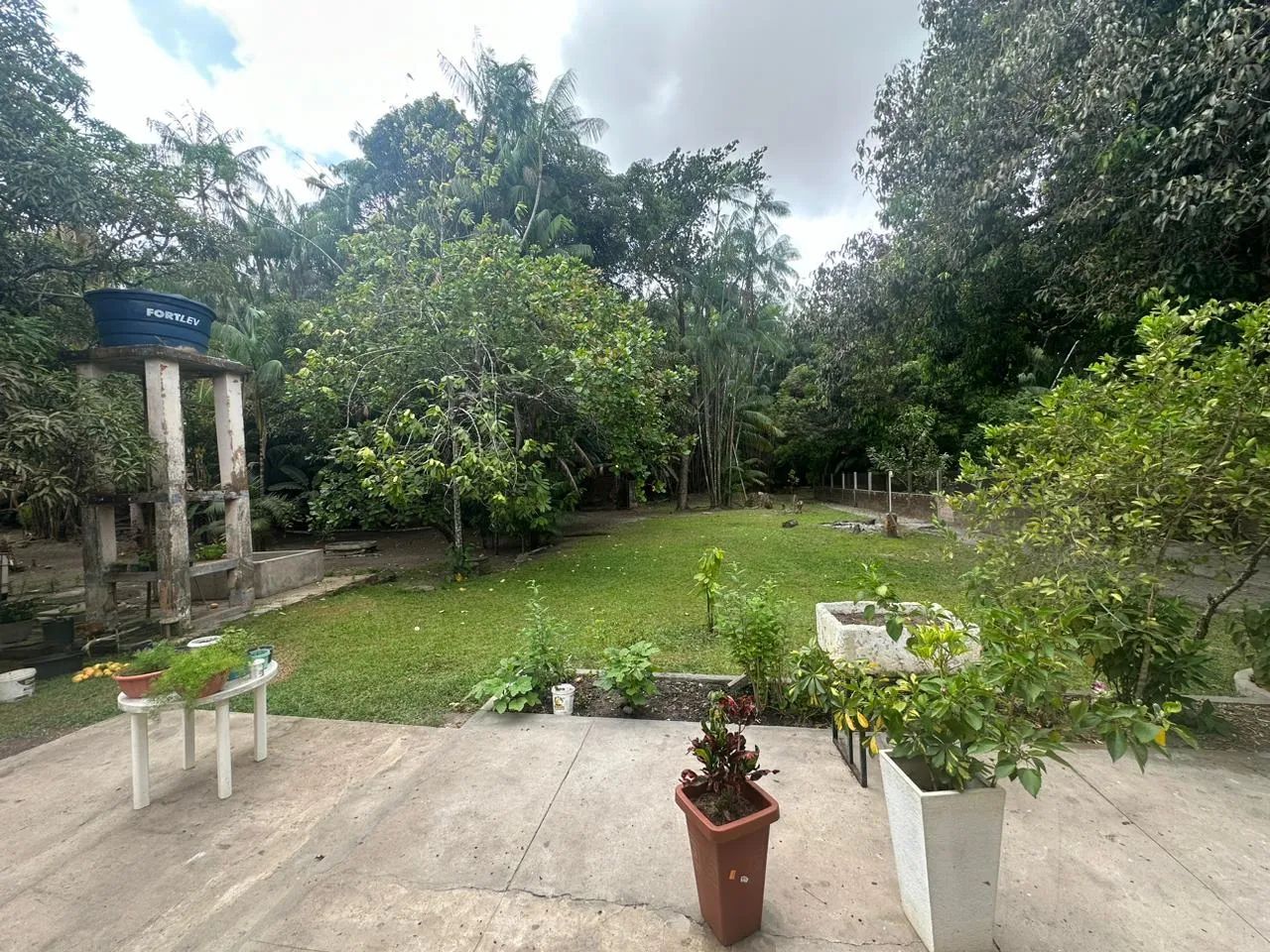 Vendo Sítio próximo Av. General Arthur Carvalhor - Foto 3