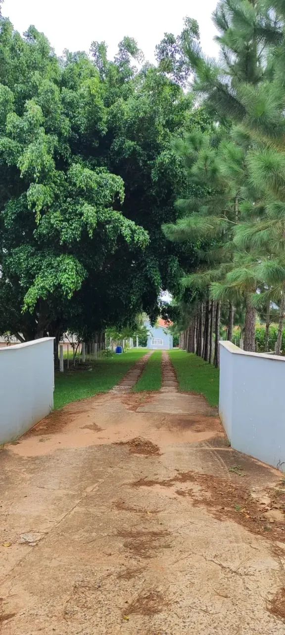 EXCELENTE SÍTIO A VENDA EM ITAPETININGA-SP - Foto 5