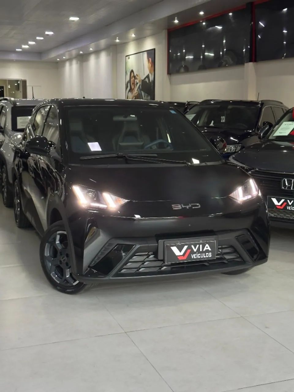 BYD Dolphin 2026
