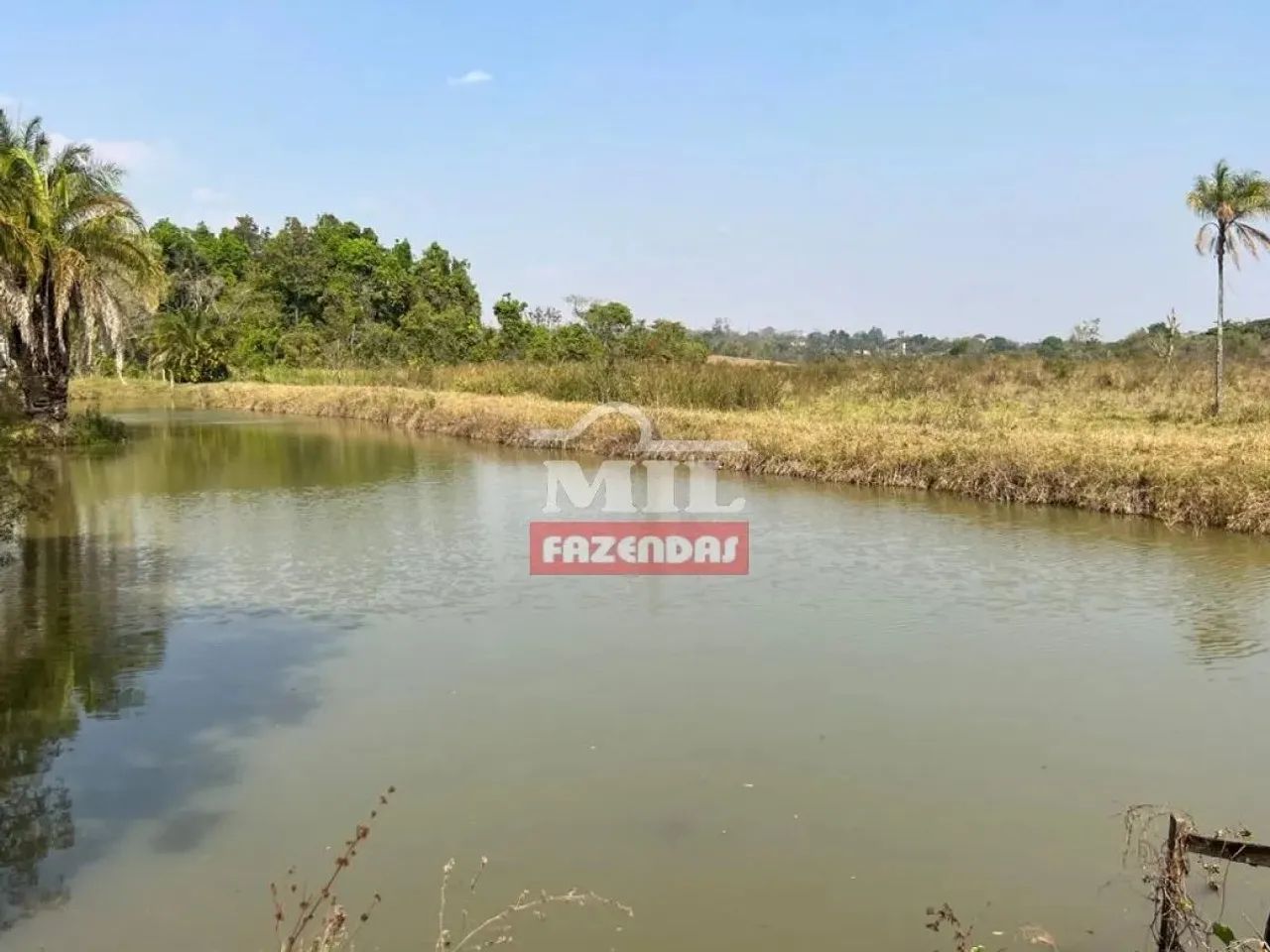 Chácara 7,5 Alqueires (36 Hectares) Brazabrantes - GO