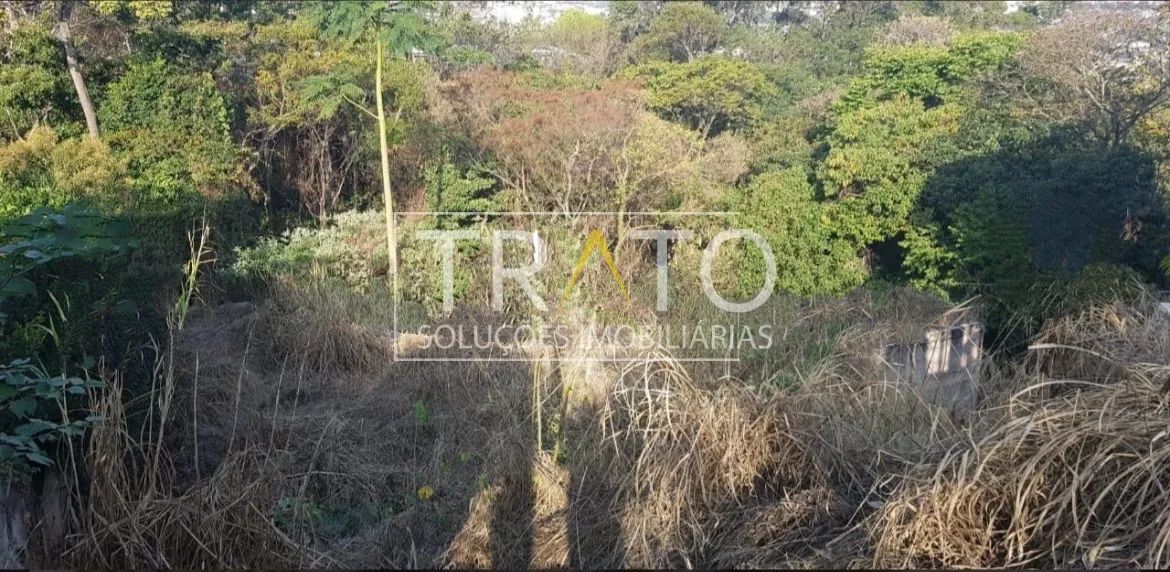 terreno - Chácara Flora - Valinhos - Foto 4