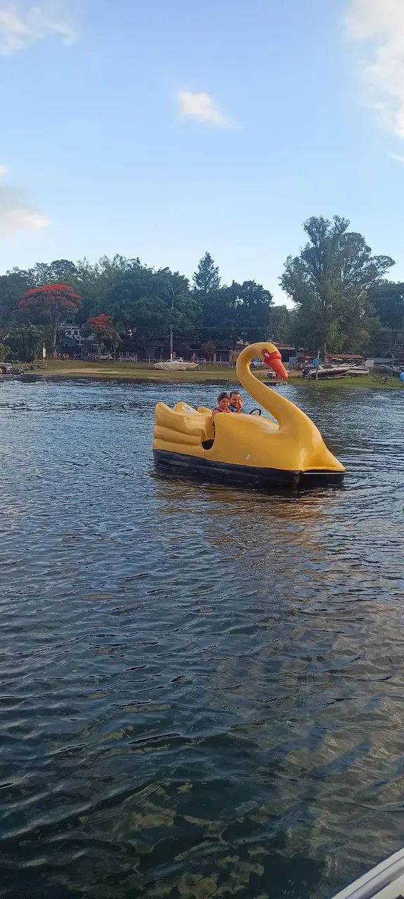 Pedalinho Cisne