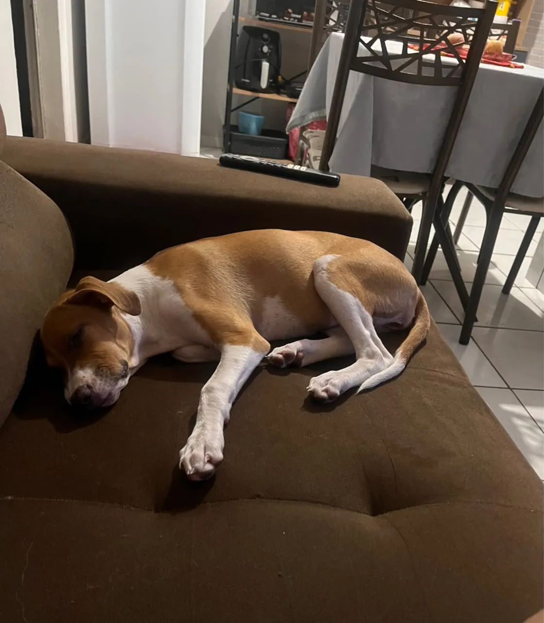 Para doação  - Foto 3
