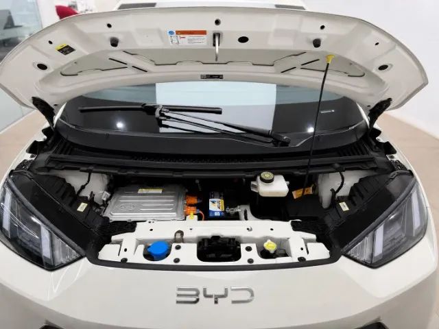 BYD Dolphin Mini (Elétrico) 2026 - Foto 4
