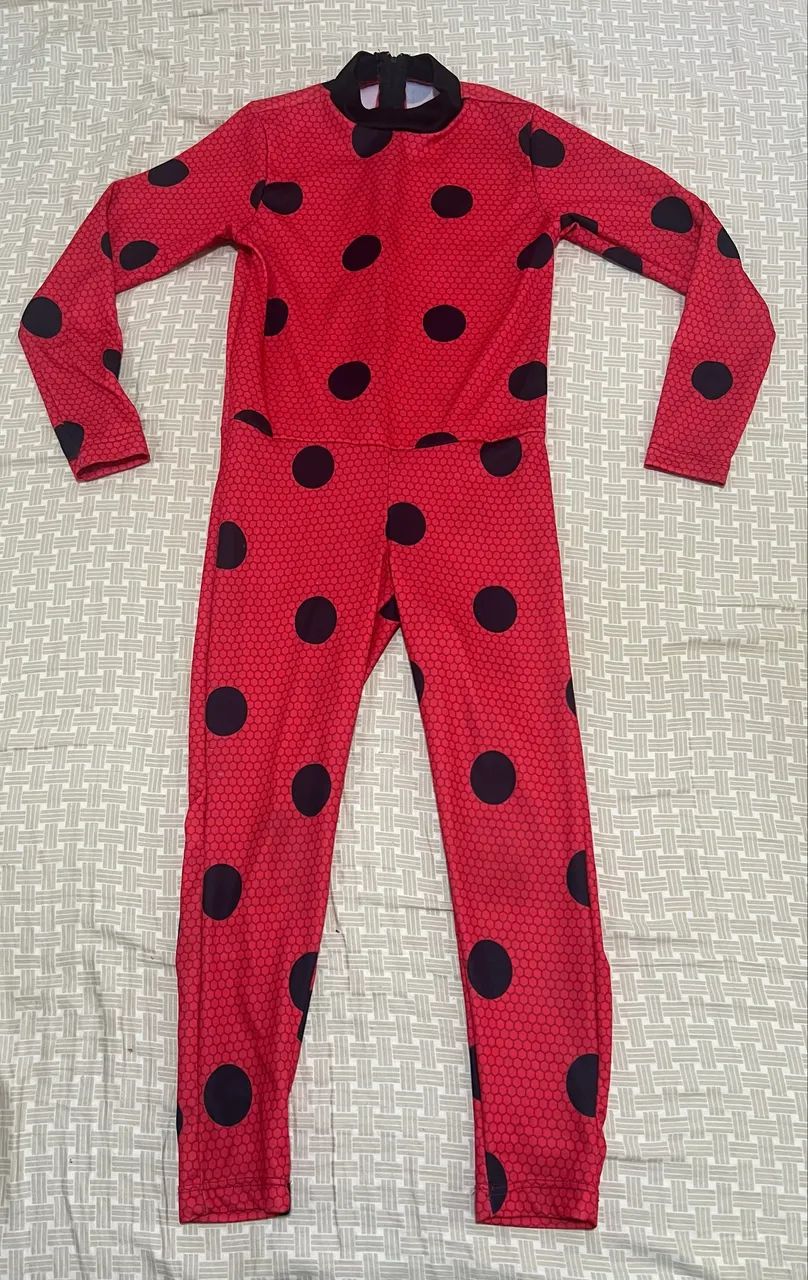 Fantasia lady bug 6 anos