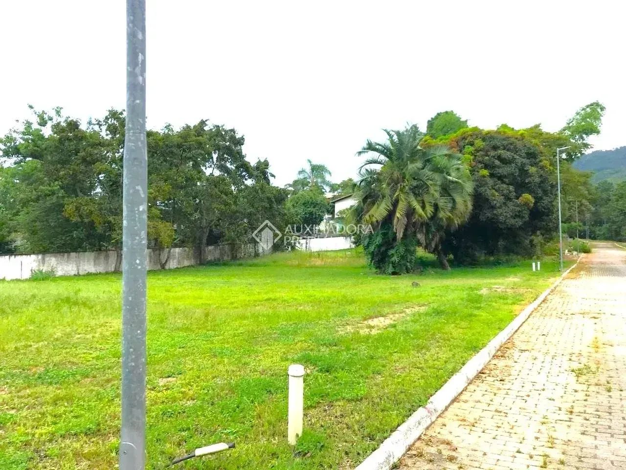 Terreno em Condomínio 454m² à venda em Ratones, Florianópolis. - Foto 4