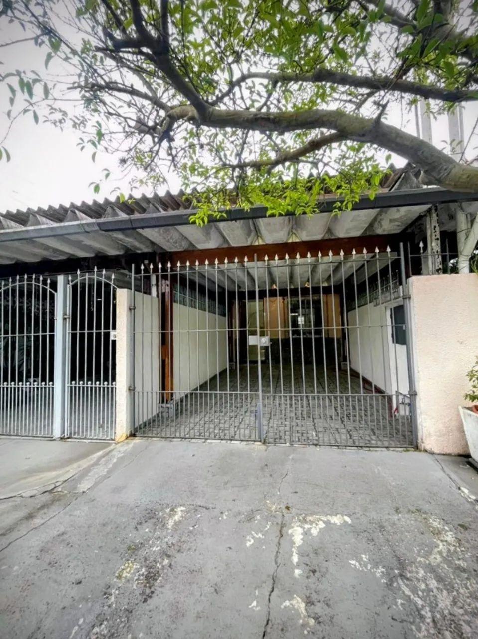 Foto - São Paulo - Jardim Amália