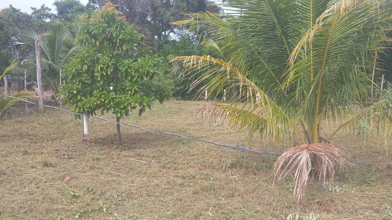Terreno em Arembepe  - Foto 4