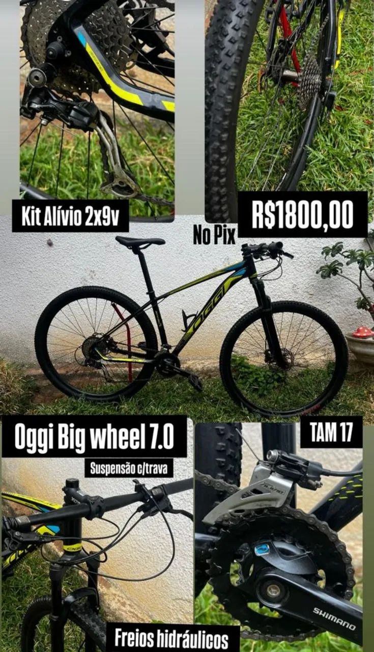 Bicicleta aro 29. OGGI
