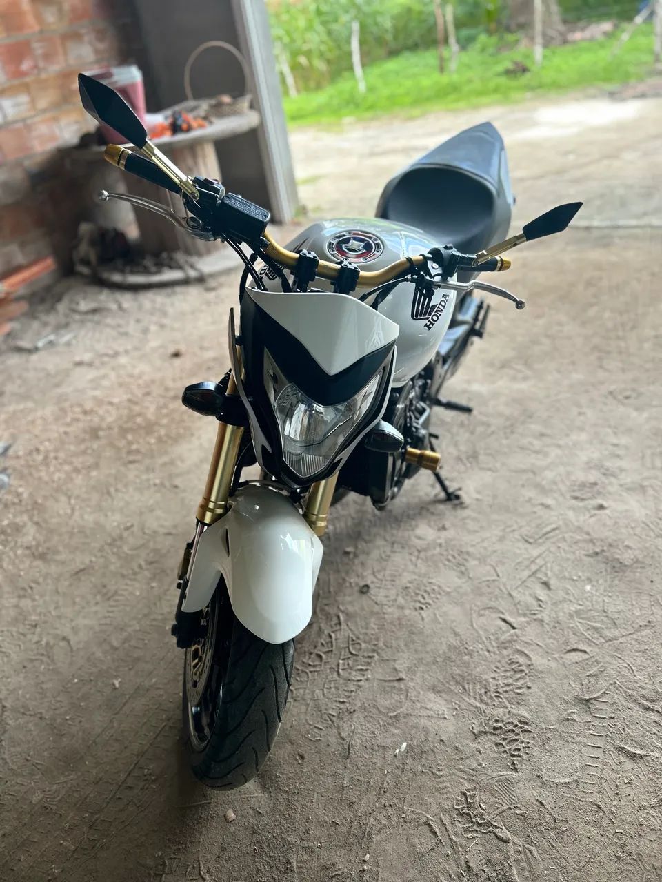 Hornet 600f