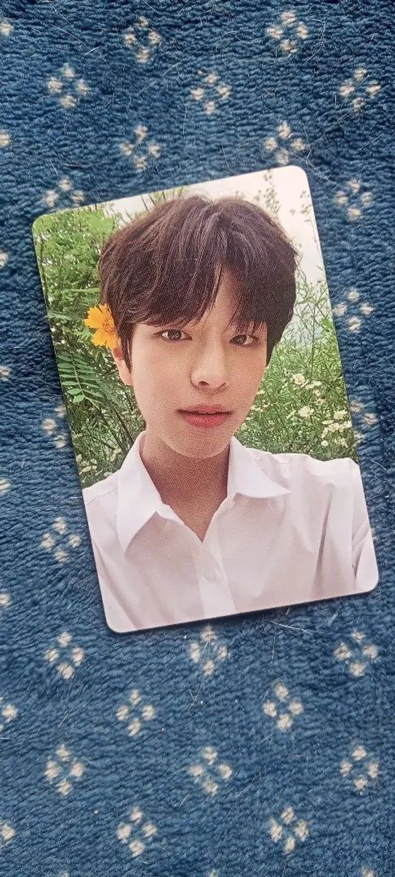2 photocards do straykids seungmin das eras de no easy e oddinary!!  - Foto 3