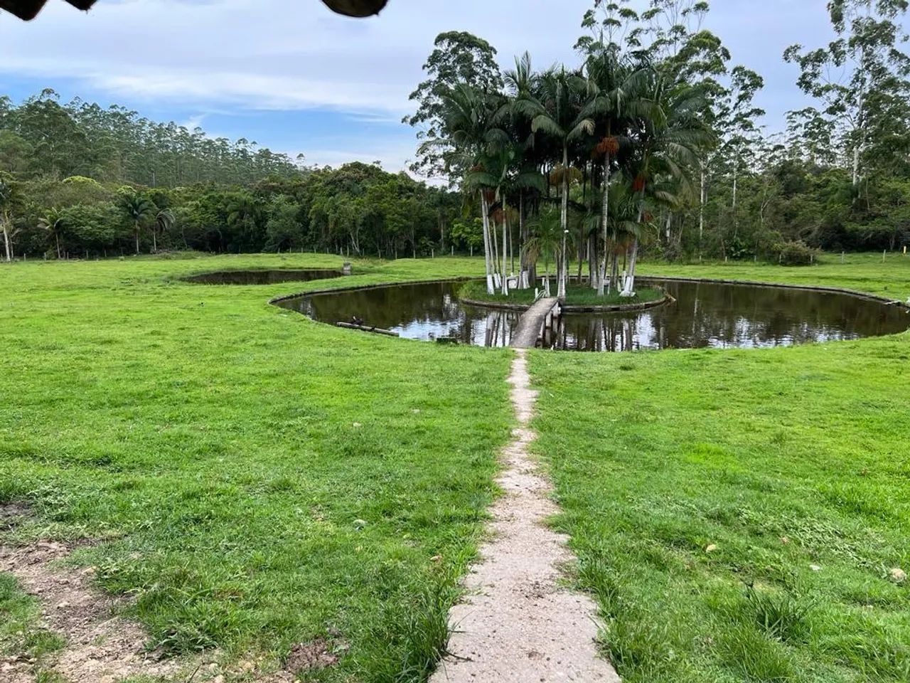FAZENDA À VENDA EM TIJUCAS - 66 HECTARES  - Foto 4