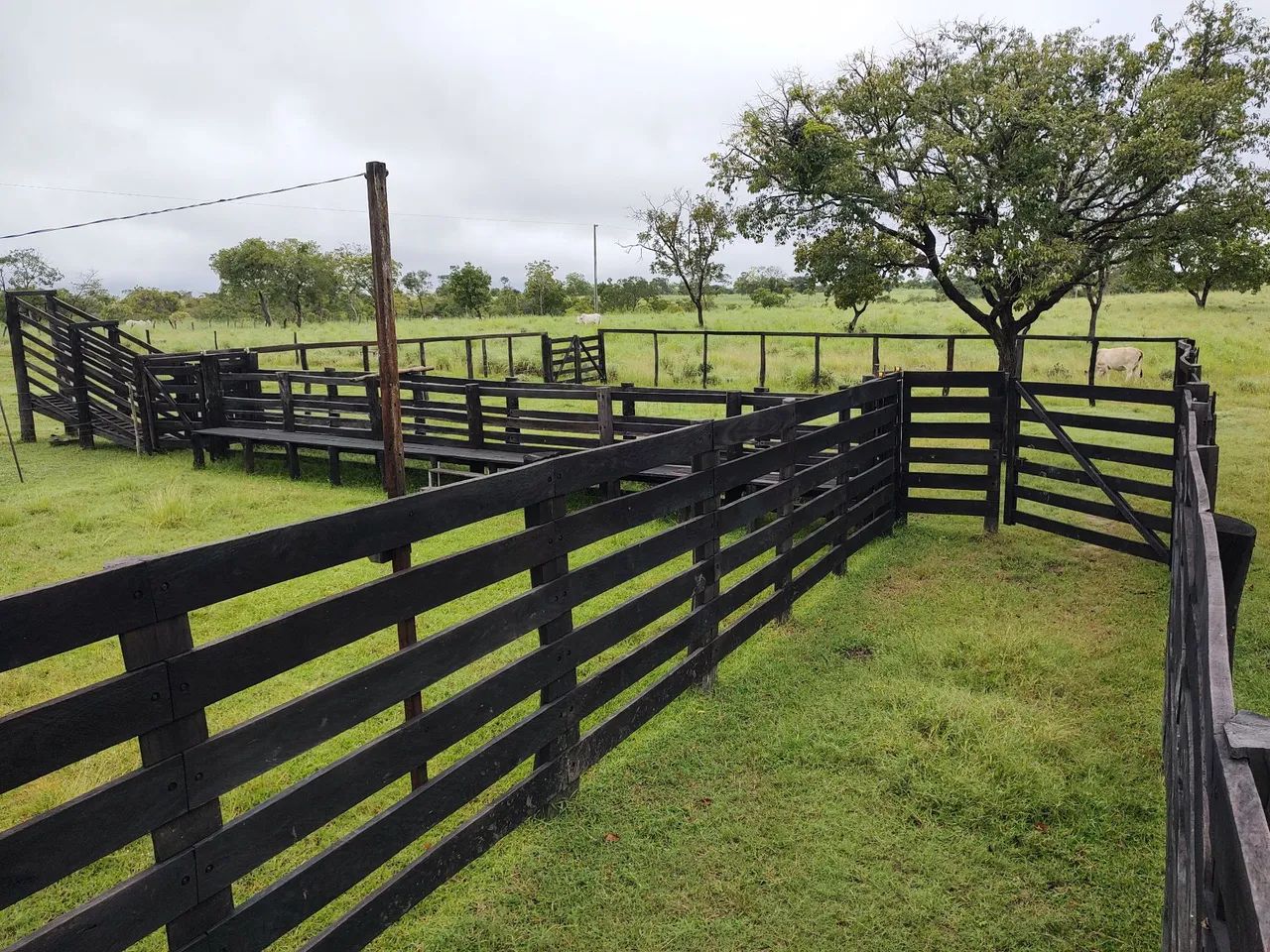 Vendo fazenda em Paranã TO com 272 ha - Foto 3