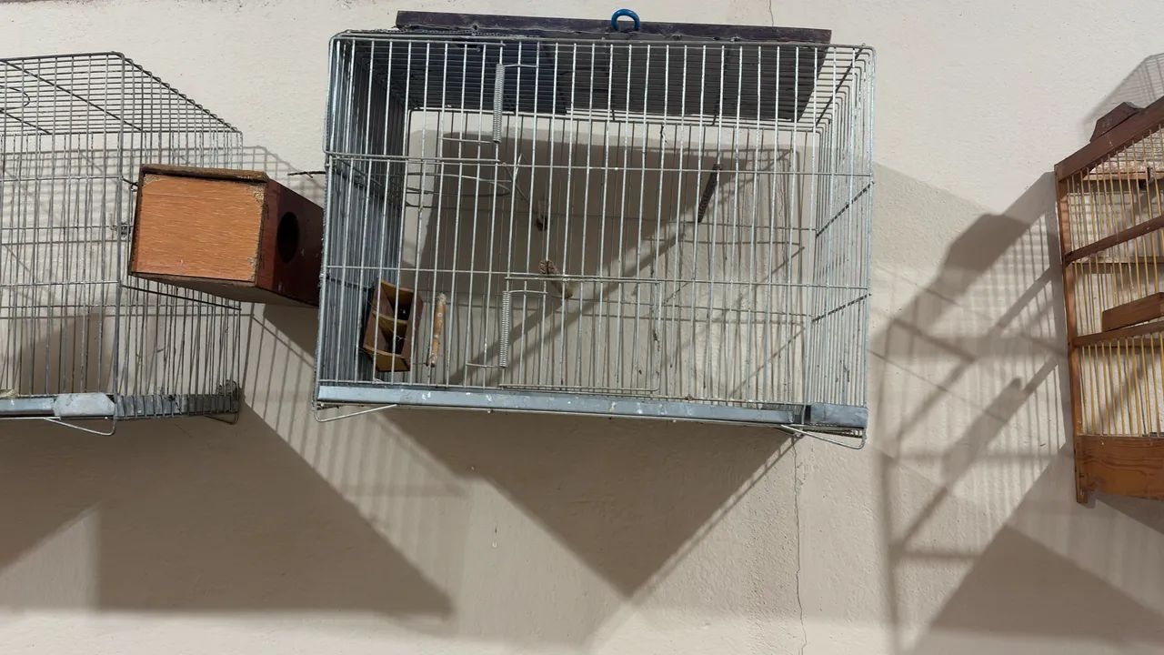 Gaiolas para Pássaros - Foto 4
