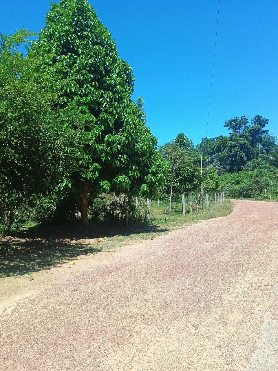 SÍTIO  - Foto 2