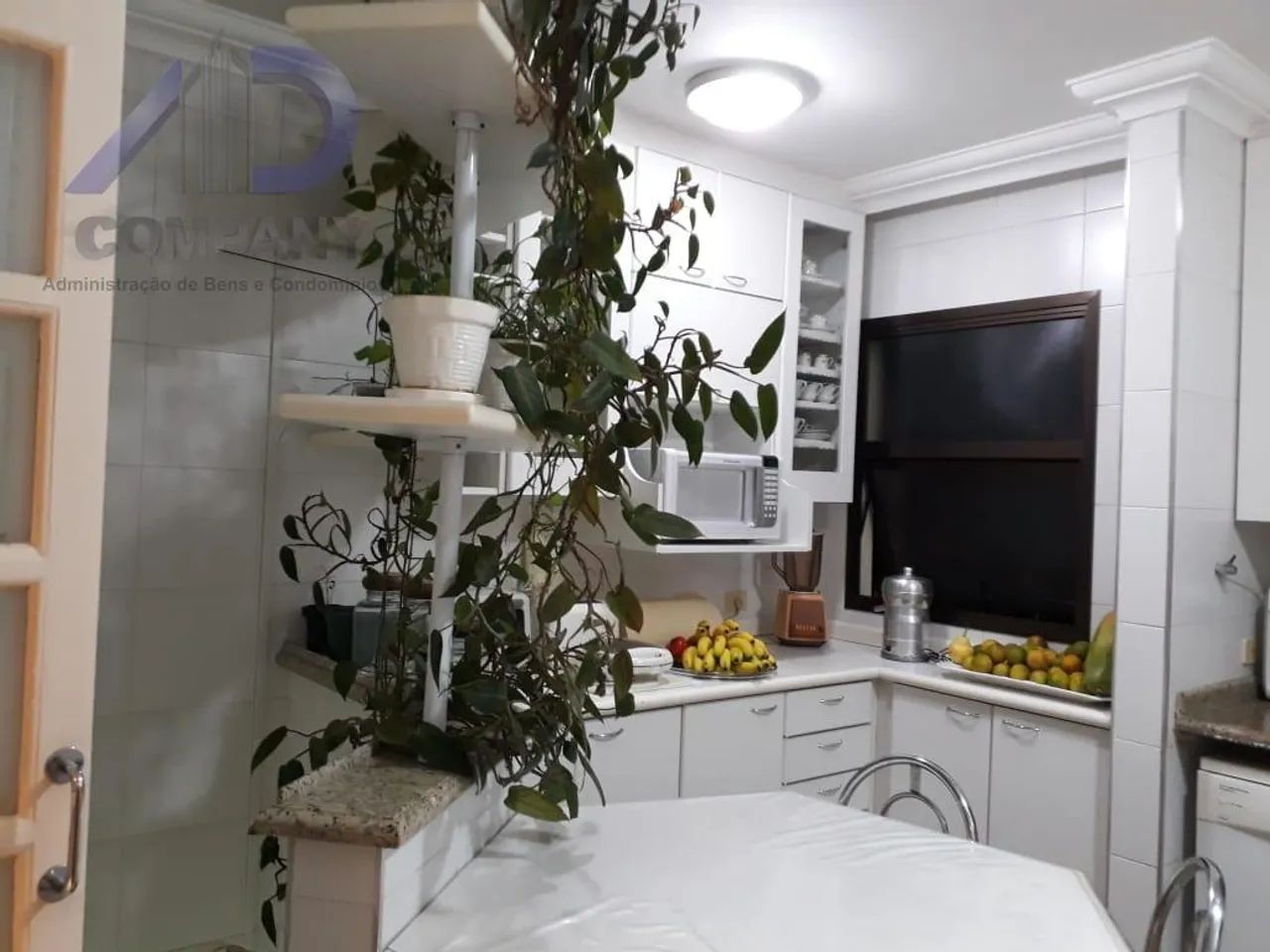 Apartamento em Vila Monte Alegre - São Paulo - Foto 2