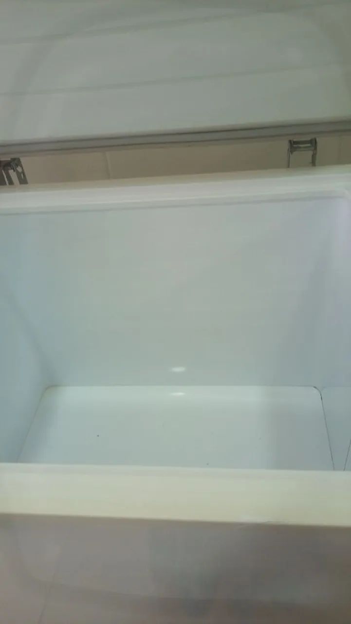 Freezer Eletrolux 309 litros - Foto 3